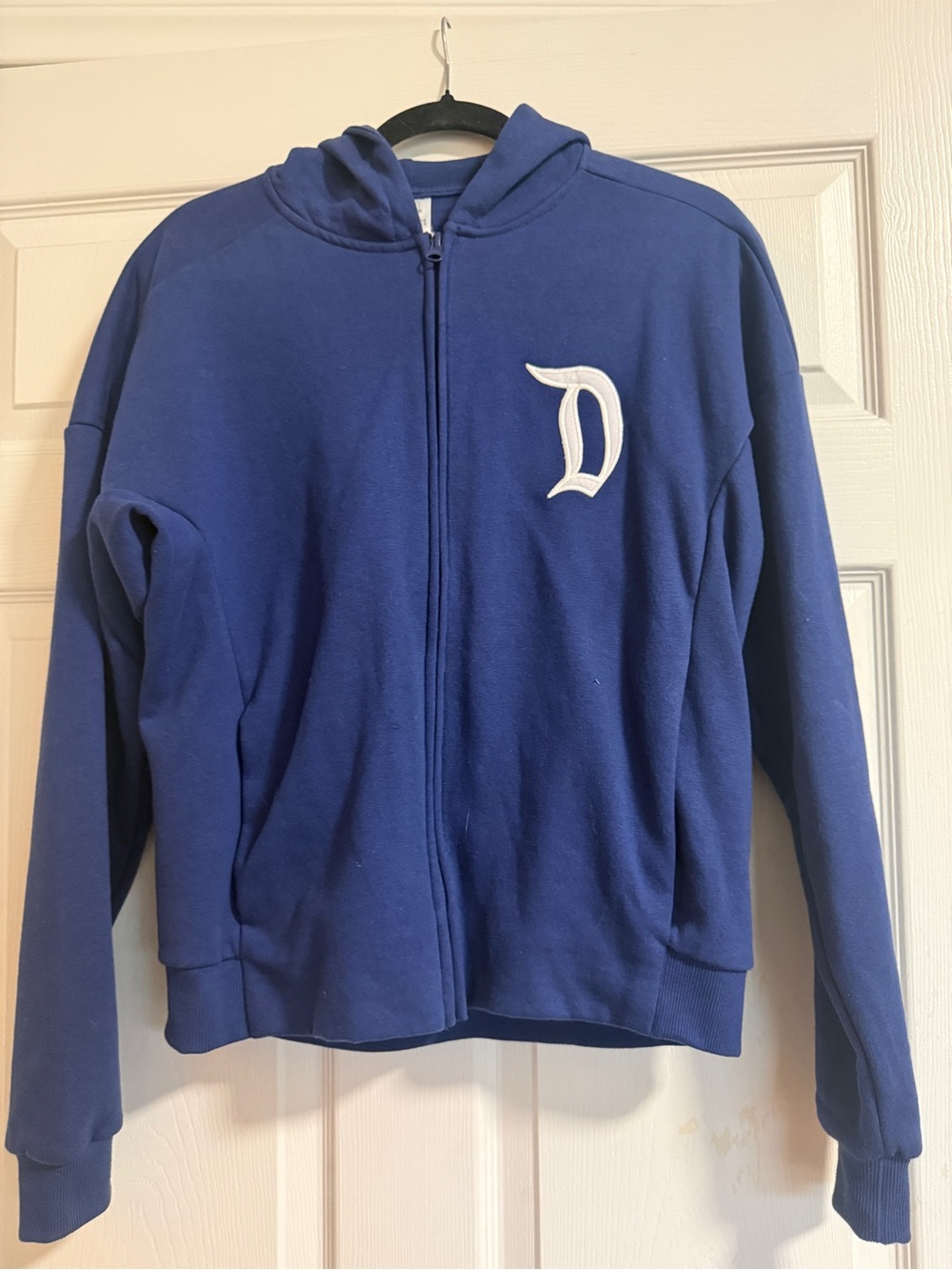 Blue Disneyland Zip-Up Hoodie